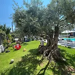 Thassos Olivia Holiday home Potos