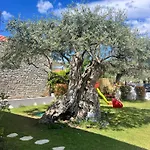 Holiday home Thassos Olivia