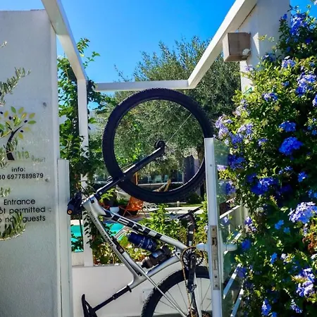 Дом отдыха Thassos Olivia