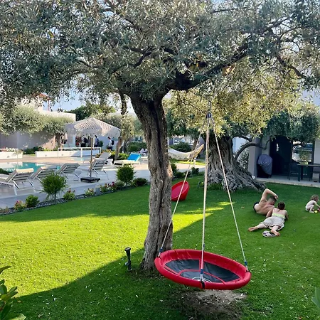Thassos Olivia بيت للعطل *