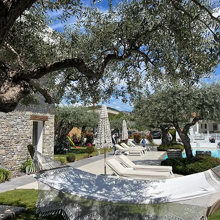 Thassos Olivia Holiday home Potos