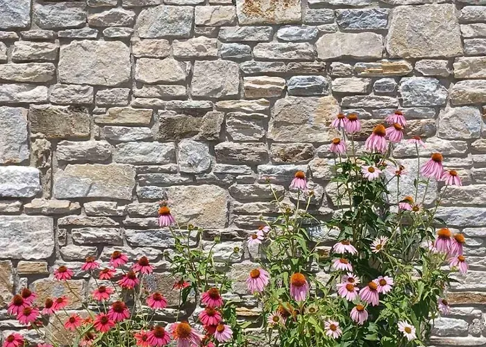 Case de vacanță Thassos Olivia *