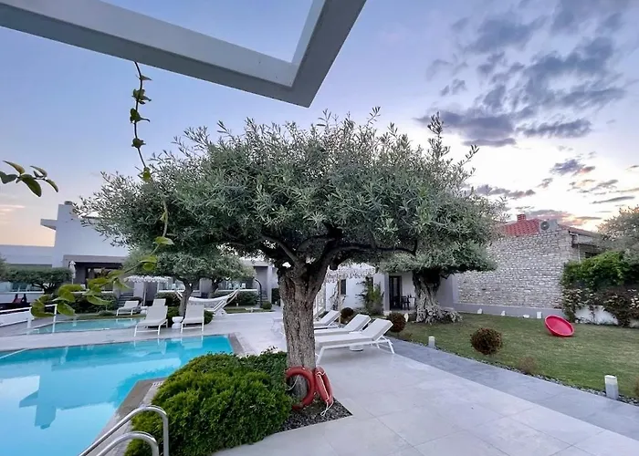 Thassos Olivia Case de vacanță *