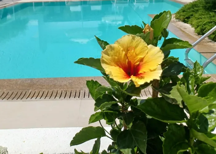 Case de vacanță Thassos Olivia *