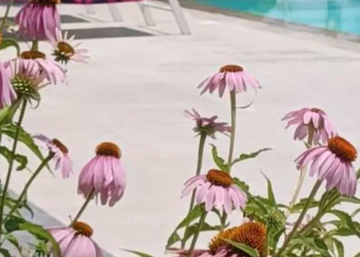 Thassos Olivia Case de vacanță Potos