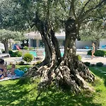 Thassos Olivia * Ποτός