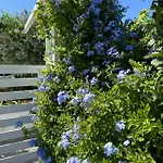 Thassos Olivia Σπίτι διακοπών