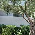 Σπίτι διακοπών Thassos Olivia Ποτός