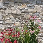 Σπίτι διακοπών Thassos Olivia *