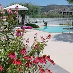 Thassos Olivia Σπίτι διακοπών Ποτός