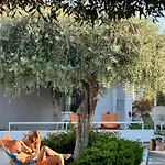 Thassos Olivia Σπίτι διακοπών