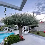 Thassos Olivia Σπίτι διακοπών *