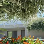 Thassos Olivia Σπίτι διακοπών *