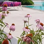 Thassos Olivia Σπίτι διακοπών Ποτός