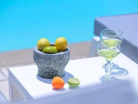 Thassos Olivia Case de vacanță *