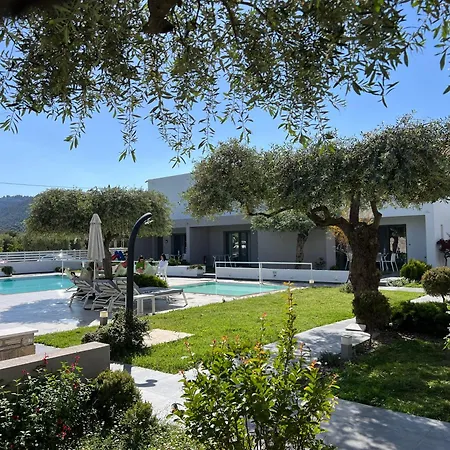 Thassos Olivia Σπίτι διακοπών *