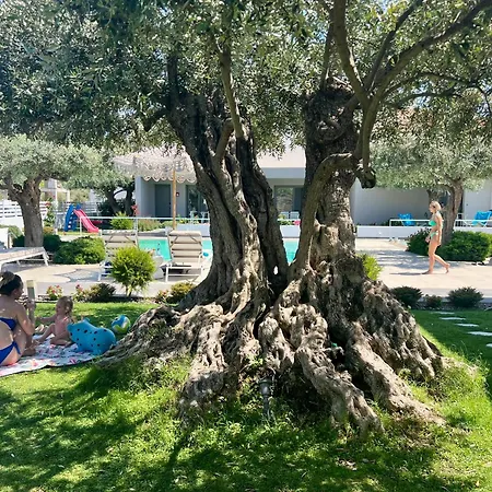 Thassos Olivia * Potos