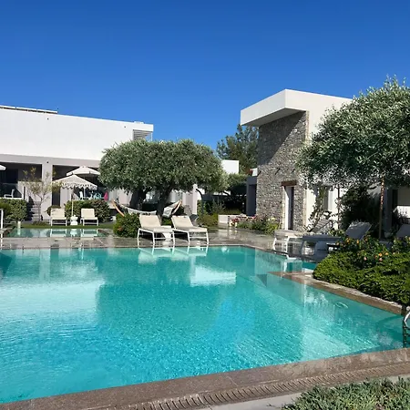 Thassos Olivia 波托什