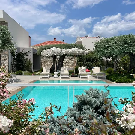 Thassos Olivia Σπίτι διακοπών *