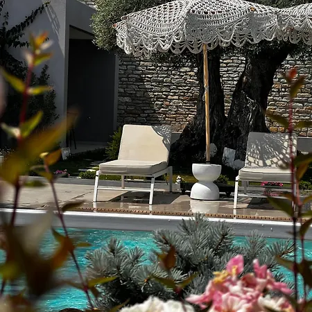 Σπίτι διακοπών Thassos Olivia *