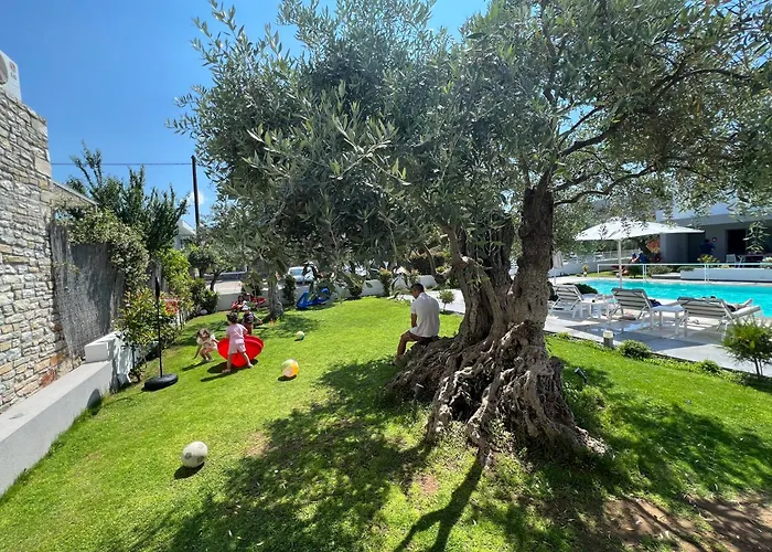 Thassos Olivia Σπίτι διακοπών Ποτός