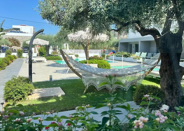 Thassos Olivia * Ποτός