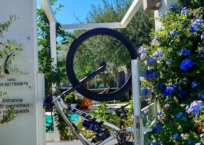 Σπίτι διακοπών Thassos Olivia