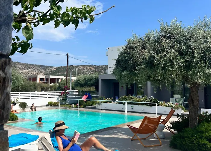 Thassos Olivia Σπίτι διακοπών Ποτός