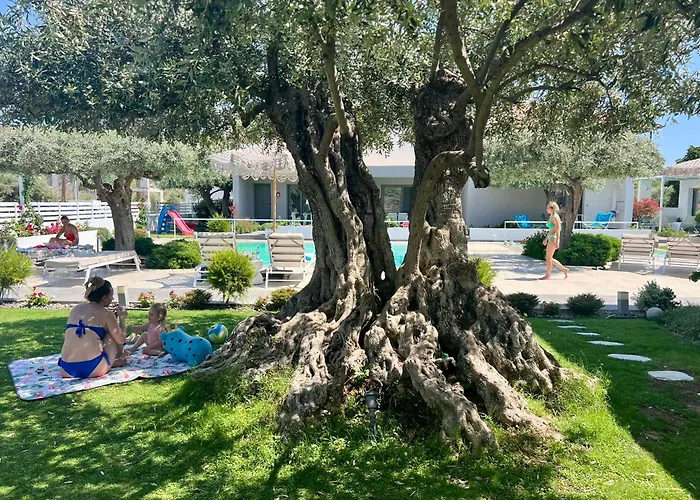 Thassos Olivia * Ποτός