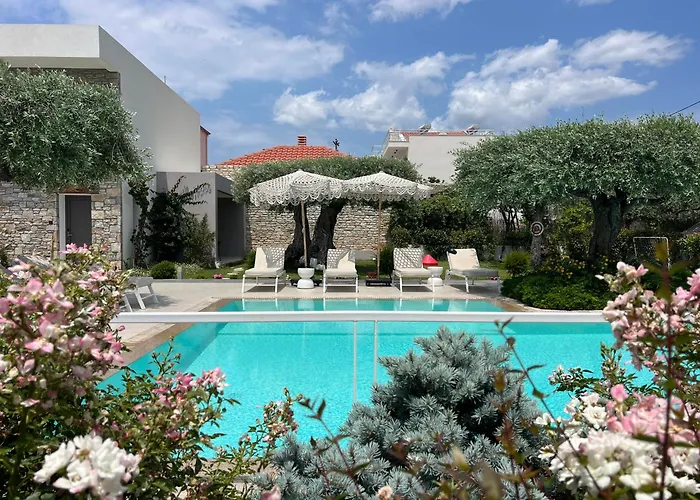 Thassos Olivia Σπίτι διακοπών *