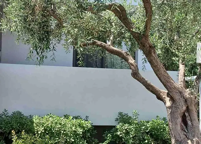 Σπίτι διακοπών Thassos Olivia Ποτός