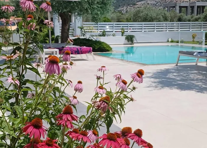 Thassos Olivia Σπίτι διακοπών Ποτός