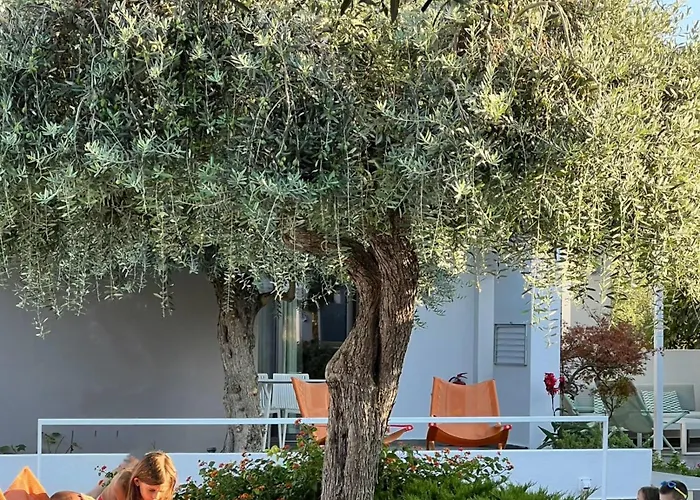 Thassos Olivia Σπίτι διακοπών