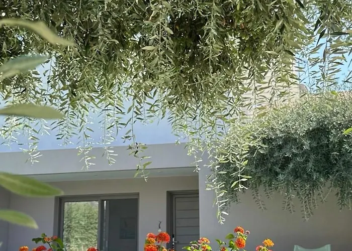 Thassos Olivia Σπίτι διακοπών *